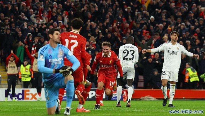 Soccer Football - Champions League - Liverpool v Real Madrid - Anfield, Liverpool, Britain - November 27, 2024Liverpools Cody Gakpo celebrates scoring their second goal with Virgil van Dijk and Ibrahima Konate REUTERS/Molly Darlington